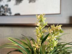 -青藤茶馆(凤起路店)