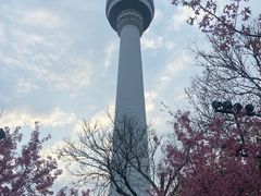 -龟山风景区-龟山电视塔