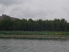 -暨阳湖生态园