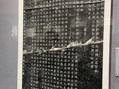 -西安碑林博物馆