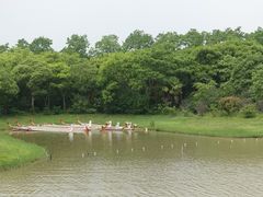 -上海海湾国家森林公园