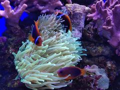 -多彩贵州城极地海洋世界