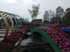 -上海植物园·停车场