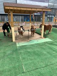 -萌宠亲子动物乐园(槐房万达店)