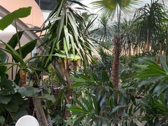 -枕水江南(铁西万象汇店)