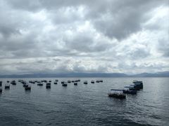 -抚仙湖禄充风景区