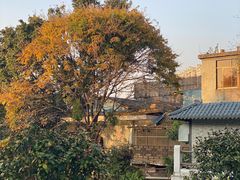 -荔湾湖公园