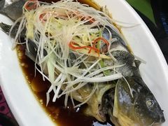 高原雪山鱼-小厨子私房菜·云南美食店
