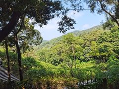 -广州市白云山风景名胜区