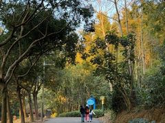 -田心森林公园