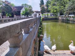 -苏州文庙(姑苏区)