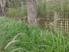 -福田农产品批发市场有限公司蔬菜交易区