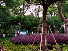 -兰溪青年公园