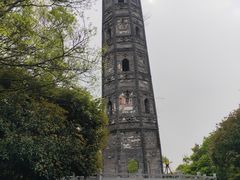 -上海佘山国家森林公园天马山园