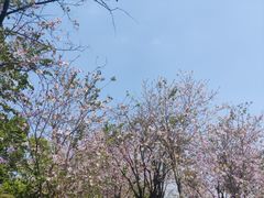 -东山湖公园