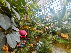 -沈阳植物园