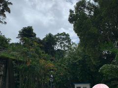 -九龙公园
