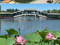 -西海子公园