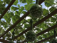 -中国天府农业博览园