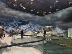 -迪庆藏族自治州博物馆