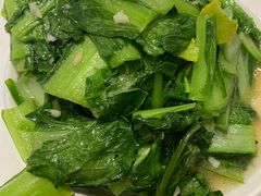 -向外鱼乐·土菜·虹鳟鱼