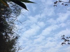 -羚羊峡古栈道森林公园