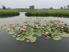 -良渚古城遗址公园