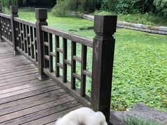 -长广溪湿地公园