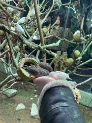 -Zoolung Zoolung动物主题公园(海信广场店)