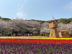 -苏州上方山国家森林公园