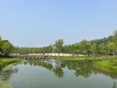-东郊湿地公园