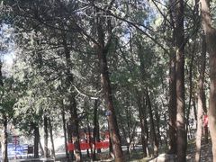 -泰山风景名胜区-普照寺