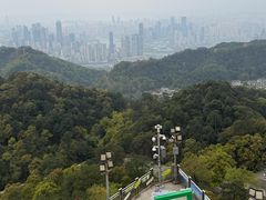 -大金鹰园