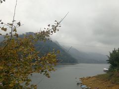 -广州市流溪河国家森林公园
