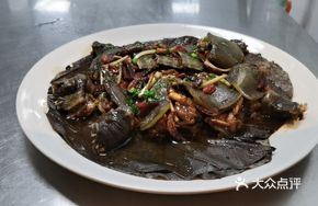 Lotus-Scented Ecological Softshell Turtle