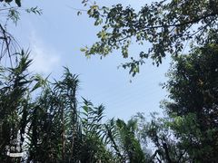 -重庆彩云湖湿地公园