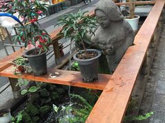 -西归浦每天偶来市场