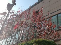 -哈尔滨香格里拉大酒店