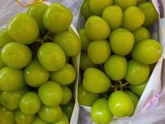 -鲜丰水果(仙霞路店)