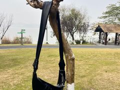 -东钱湖旅游度假区