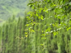 -青龙山生态文化旅游区