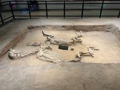 -洛阳周王城天子驾六博物馆