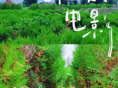 -亲兄弟真人CS团建拓展基地