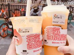 -伏小桃(明瓦廊店)