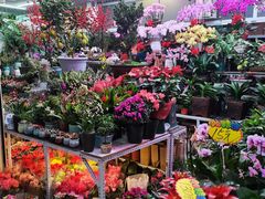 -三旗百汇商品城