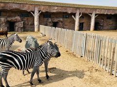 -鄂尔多斯野生动物园