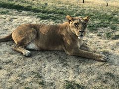 -北京野生动物园