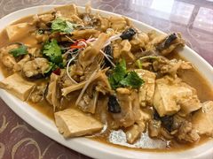 安康鱼肝炖豆腐-春来酒家