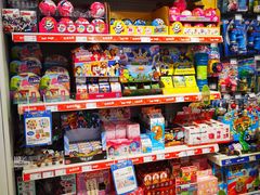 -TOYSRUS玩具反斗城(苏州中心店)