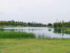 -桂溪生态公园